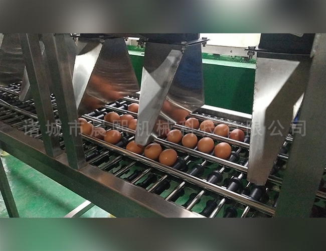 單排雞蛋清洗機鴨蛋洗蛋機生產(chǎn)廠家